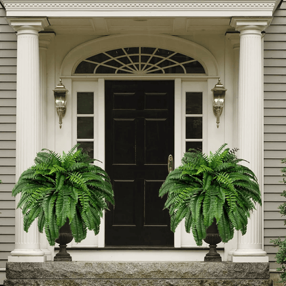 【Official USA Store】Last Day 80% OFF UV Resistant Lifelike Artificial Boston Fern✨