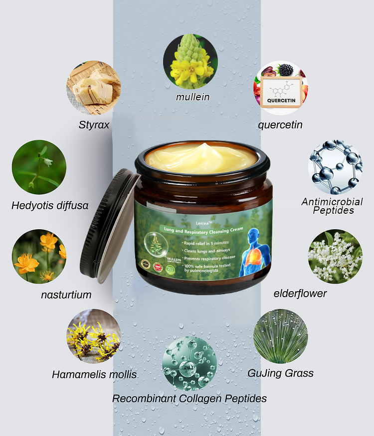 👑Official Store:Lercea™ 👑Mullein Clear Lung Repair Cream - endorsed by the British Thoracic Society to support lung health🎉🎉