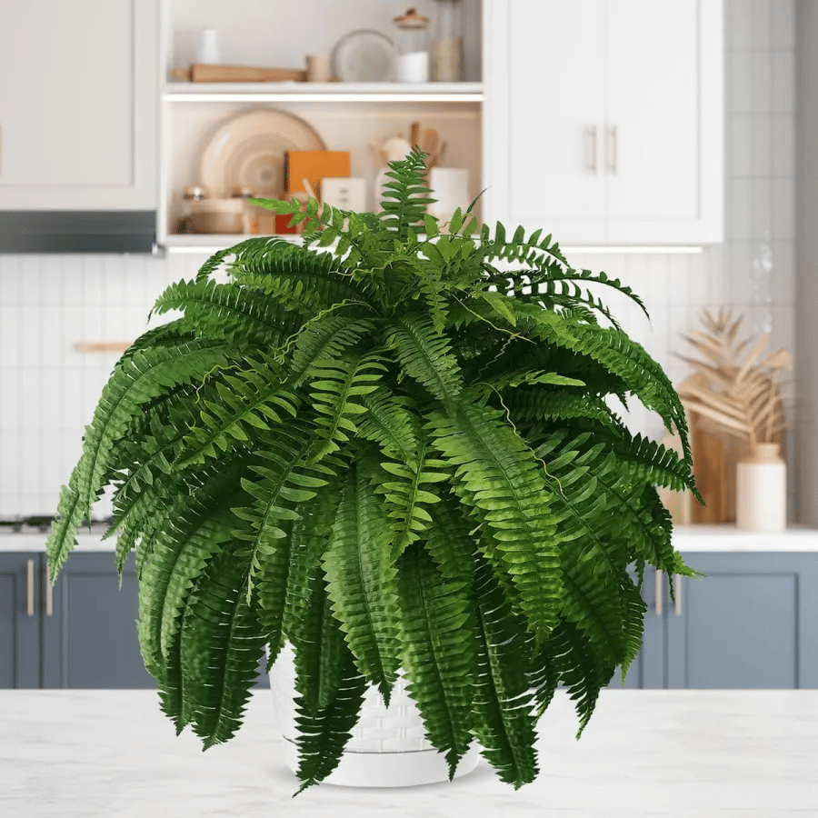 【Official USA Store】Last Day 80% OFF UV Resistant Lifelike Artificial Boston Fern✨
