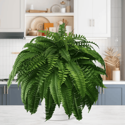 【Official USA Store】Last Day 80% OFF UV Resistant Lifelike Artificial Boston Fern✨