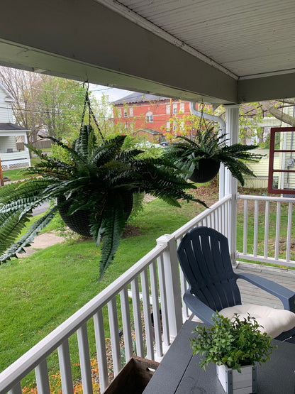 【Official USA Store】Last Day 80% OFF UV Resistant Lifelike Artificial Boston Fern✨