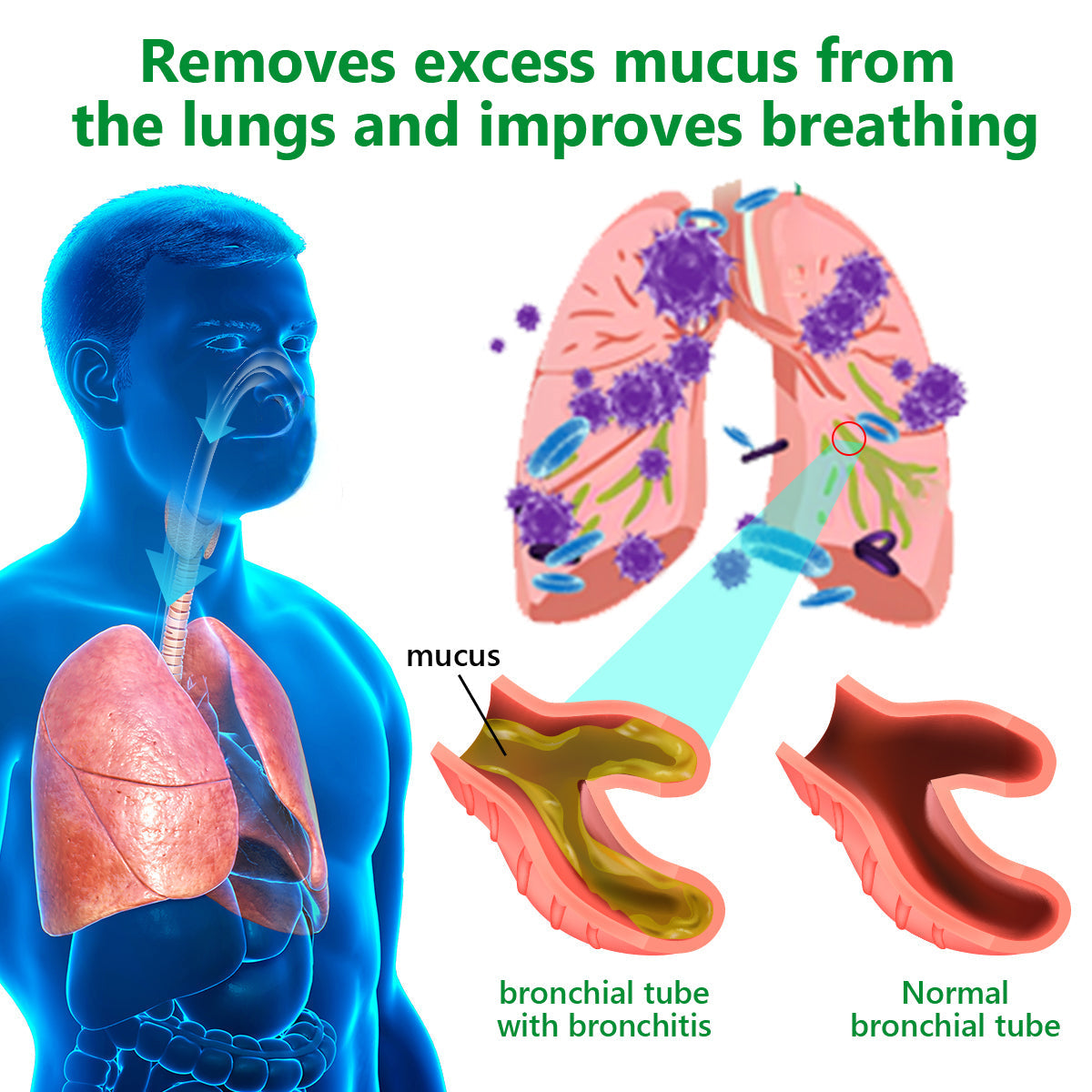 👑Official Store:Lercea™ 👑Mullein Clear Lung Repair Cream - endorsed by the British Thoracic Society to support lung health🎉🎉