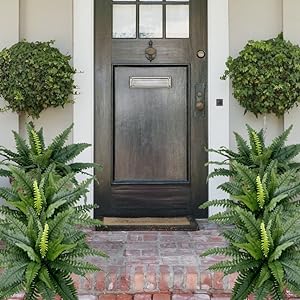 【Official USA Store】Last Day 80% OFF UV Resistant Lifelike Artificial Boston Fern✨