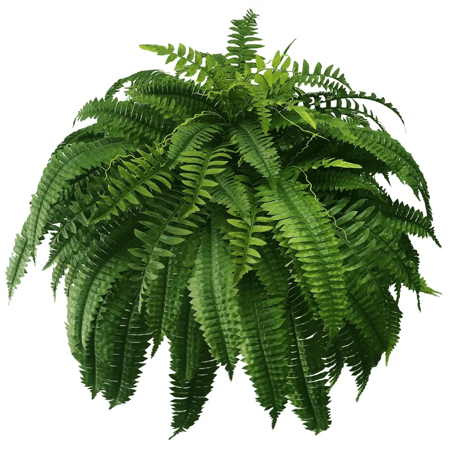 【Official USA Store】Last Day 80% OFF UV Resistant Lifelike Artificial Boston Fern✨